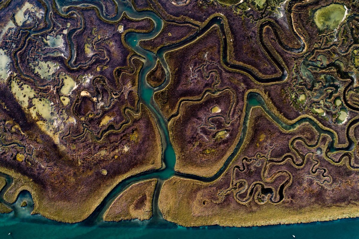 Marsh landColorful grasses and swirling tidal channels on one of the 62 small islands in salt marsh of Lagoon Venice which is the largest wetland in the Mediterranean Basin, Venice, Area Lio Piccolo, Italy.